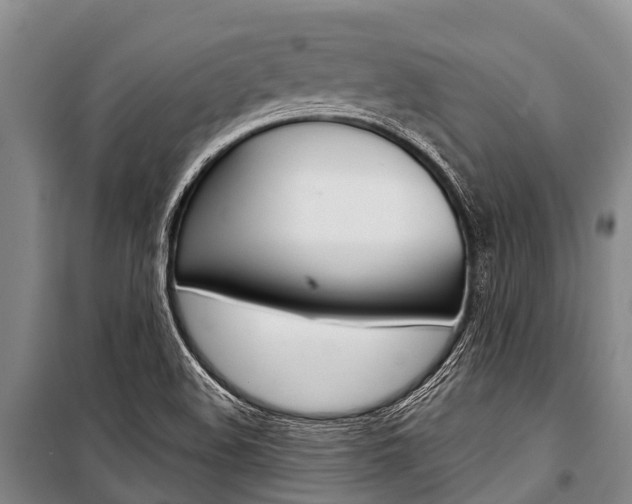 X0000101211508200806270841