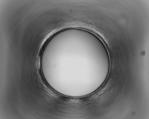 X0000101211509200806270841