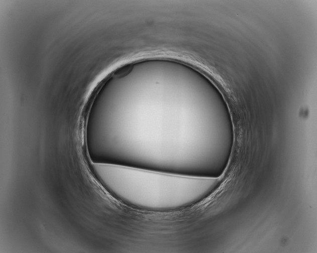 X0000101211510200806270841