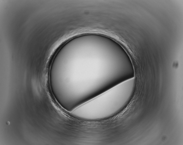 X0000101211511200806270841