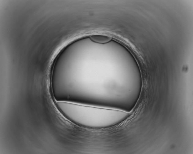 X0000101211512200806270841