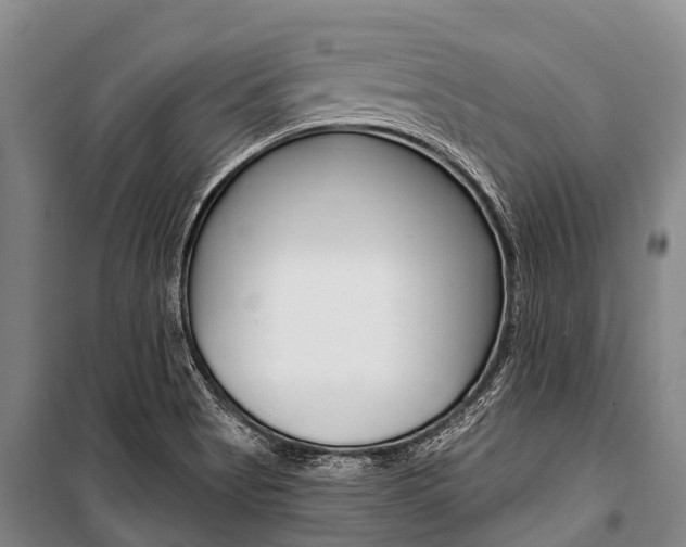 X0000101211513200806270841