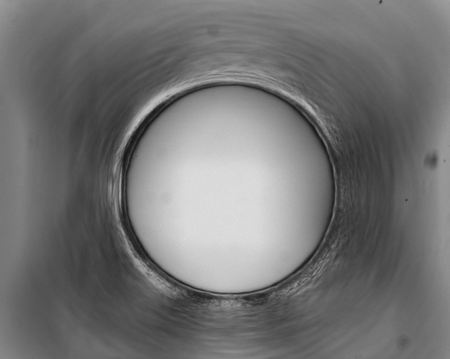 X0000101211515200806270841