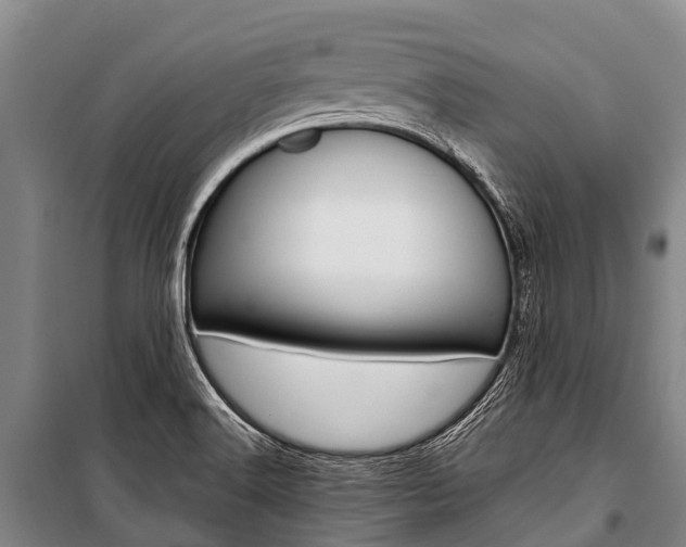 X0000101211516200806270841