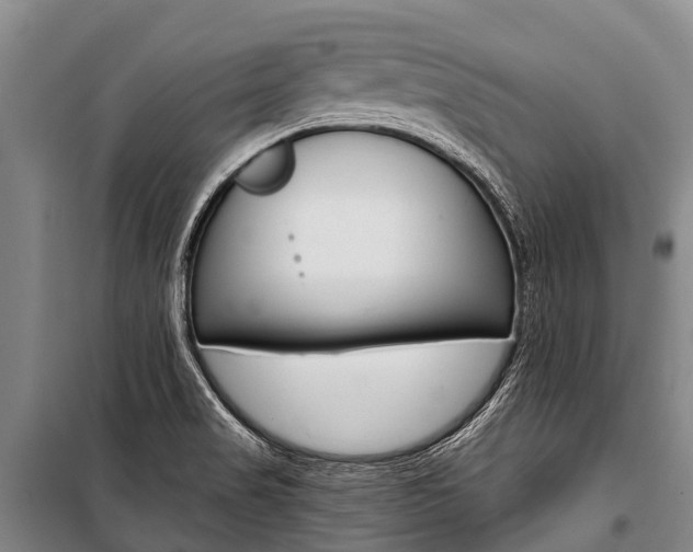 X0000101211517200806270841
