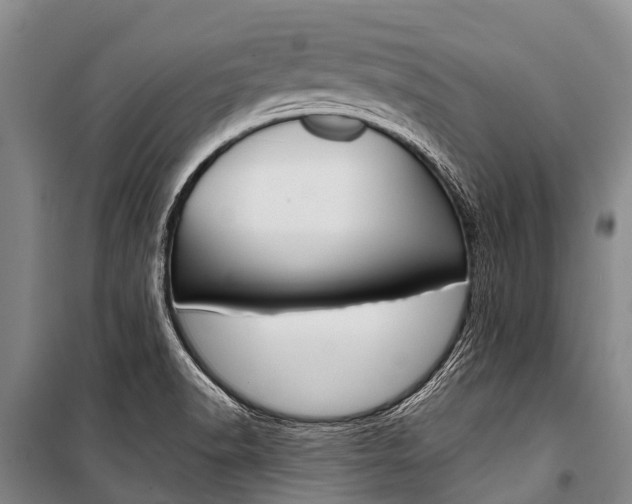 X0000101211518200806270841
