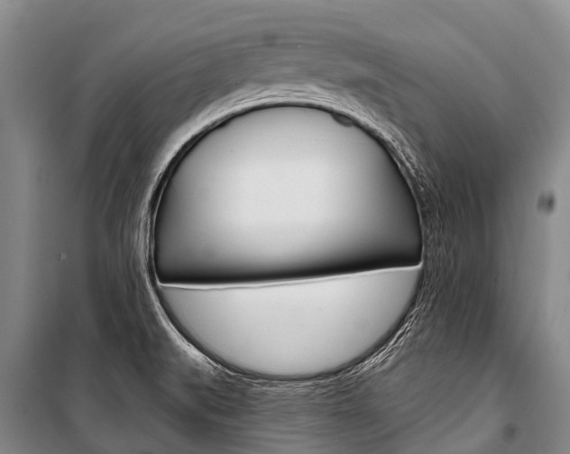 X0000101211519200806270841