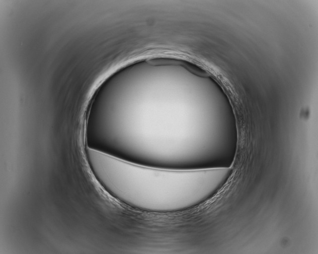 X0000101211520200806270841