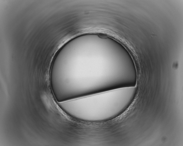 X0000101211521200806270841