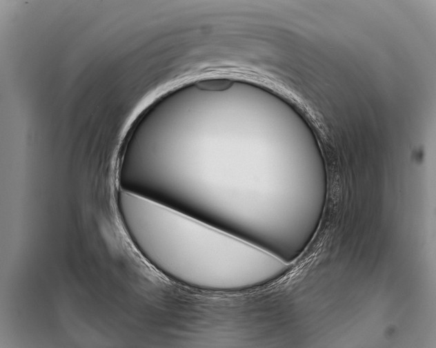 X0000101211522200806270841