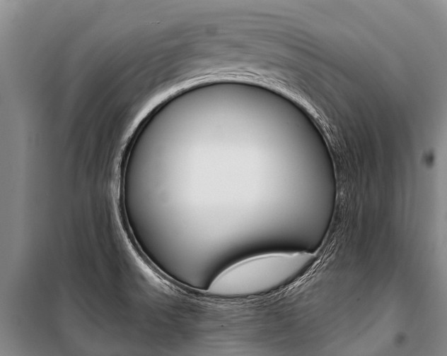 X0000101211523200806270841