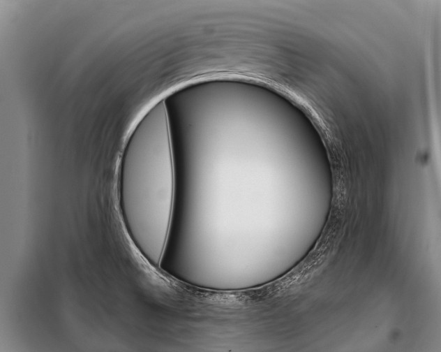 X0000101211524200806270841