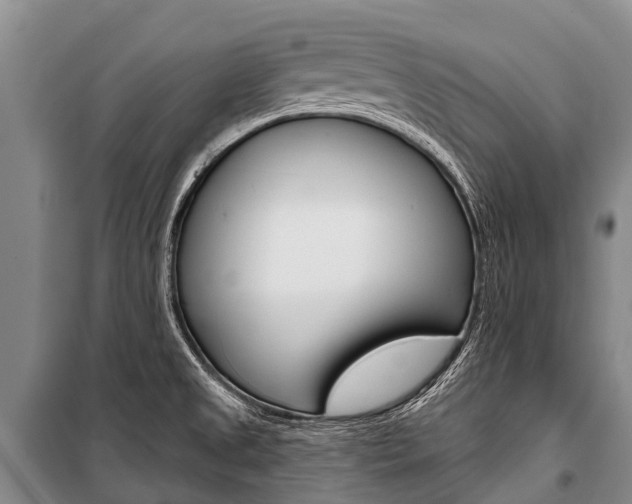 X0000101211525200806270841