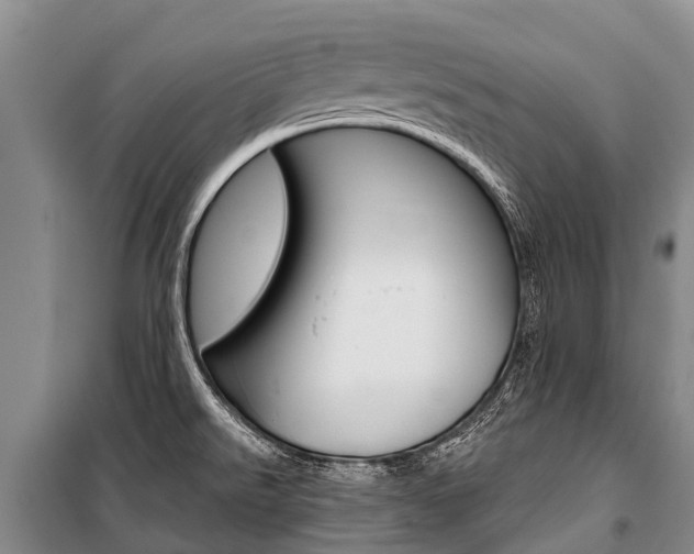 X0000101211526200806270841