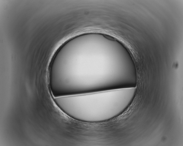 X0000101211527200806270841
