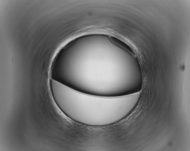 X0000101211528200806270841
