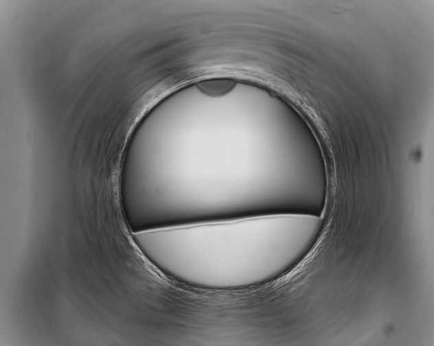 X0000101211529200806270841