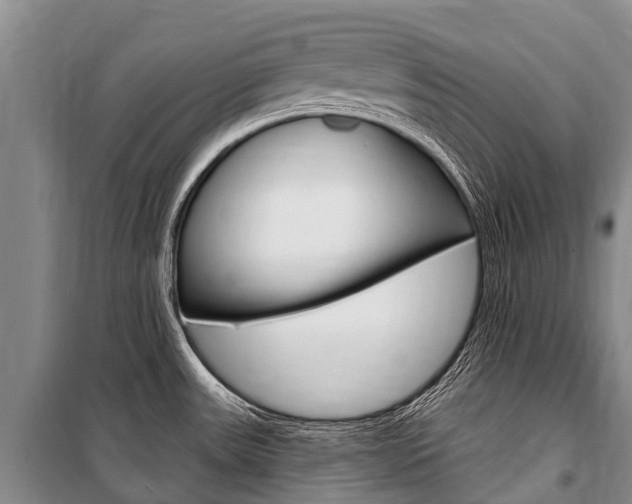 X0000101211531200806270841