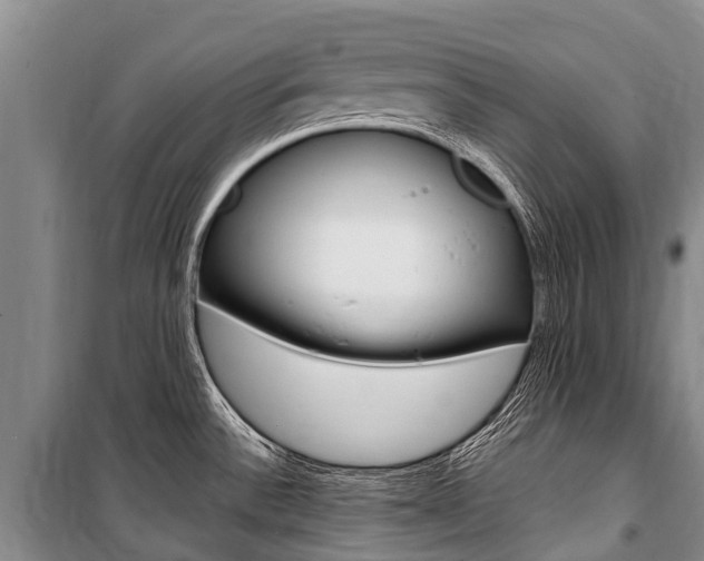 X0000101211532200806270841