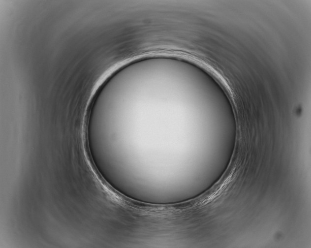 X0000101211533200806270841