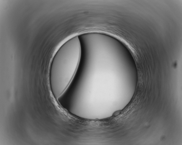 X0000101211534200806270841