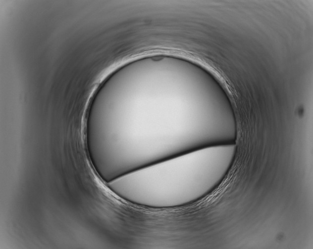 X0000101211535200806270841