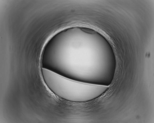 X0000101211536200806270841