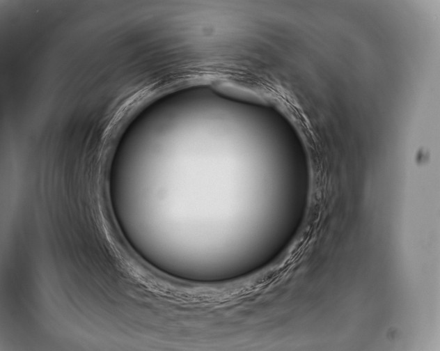 X0000101210001200806271426