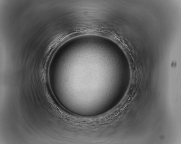 X0000101210002200806271426