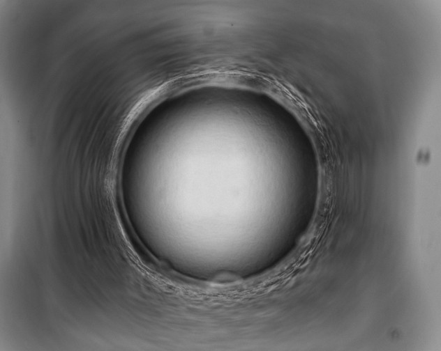 X0000101210003200806271426