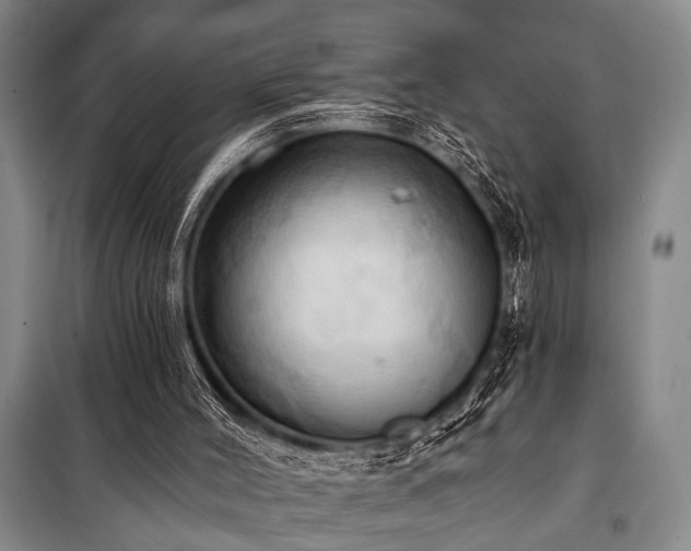 X0000101210004200806271426