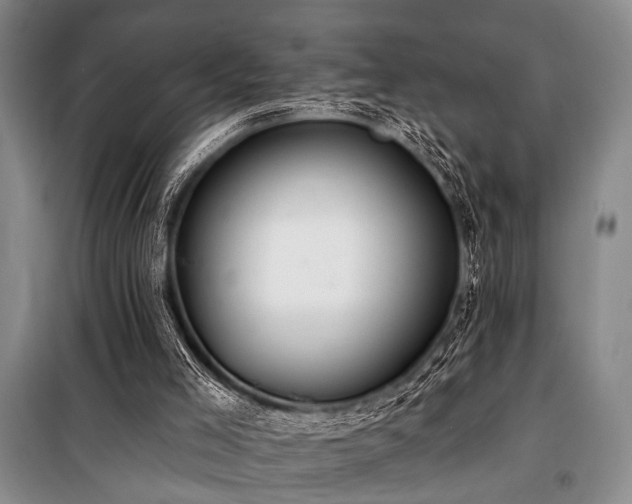 X0000101210005200806271426