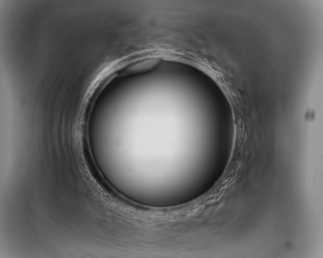 X0000101210007200806271426