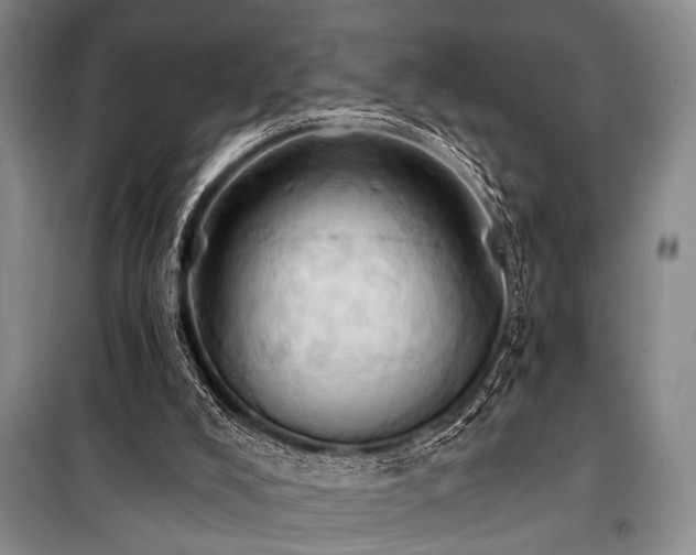 X0000101210008200806271426