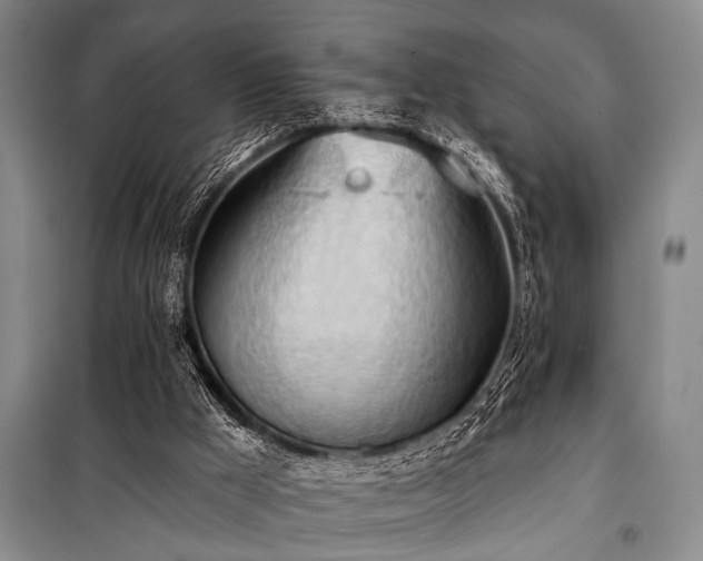 X0000101210009200806271426