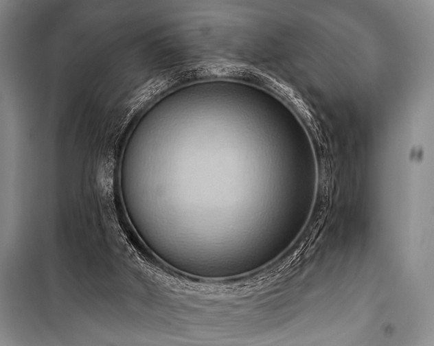 X0000101210010200806271426