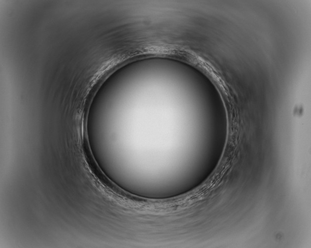 X0000101210011200806271426