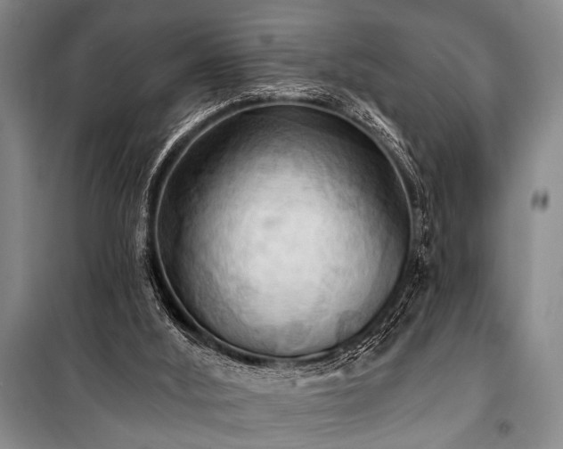 X0000101210012200806271426