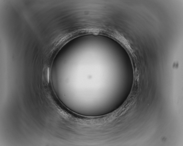 X0000101210013200806271426