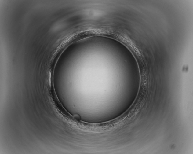 X0000101210014200806271426