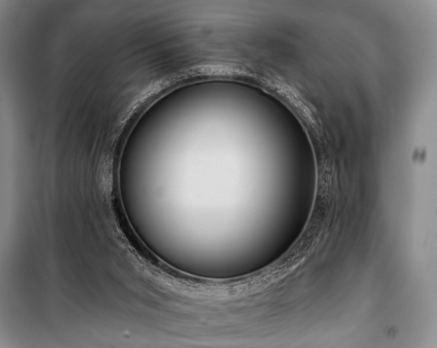 X0000101210015200806271426