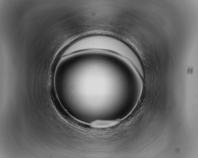 X0000101210016200806271426