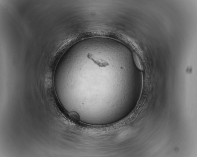 X0000101210017200806271426