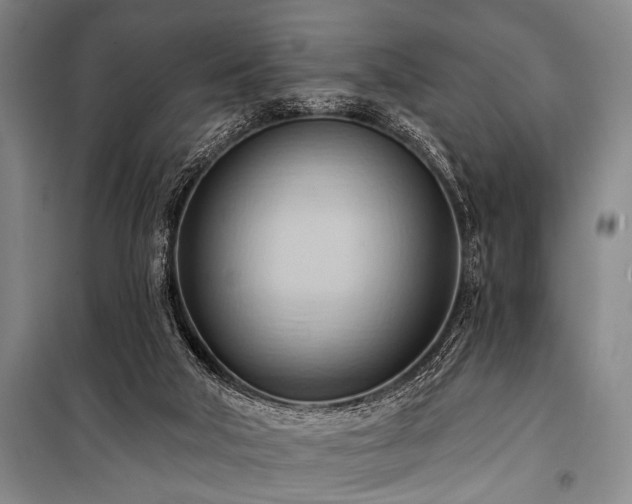 X0000101210018200806271426