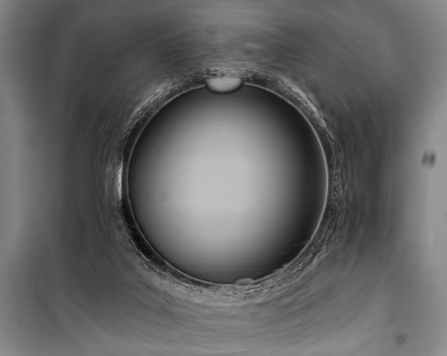 X0000101210019200806271426