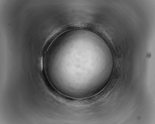 X0000101210020200806271426