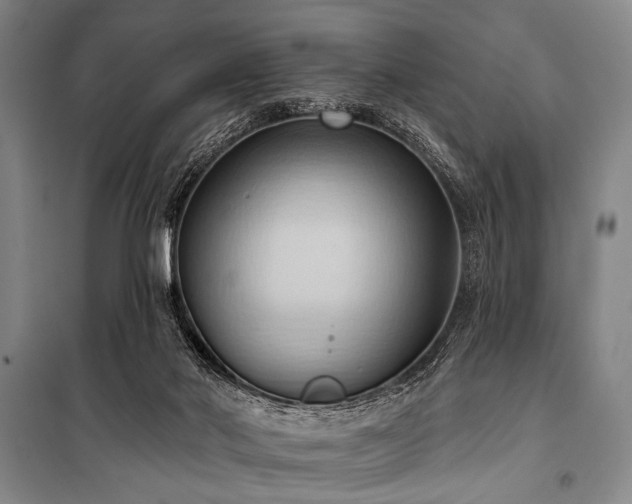 X0000101210022200806271426