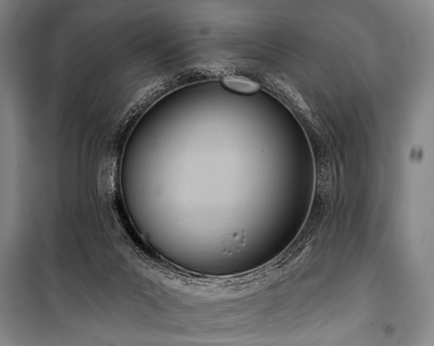 X0000101210023200806271426