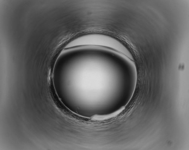 X0000101210024200806271426