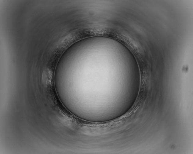 X0000101210025200806271426